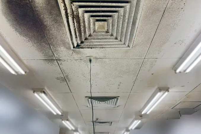 静岡県のスーパー