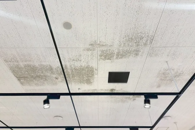 岐阜県のスーパー